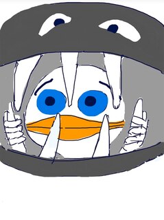 Aper&ccedil;u du contenu 3_Duck Book