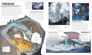 Aper&ccedil;u du contenu 3_Dungeons and Dragons The Legend of Drizzt Visual Dictionary