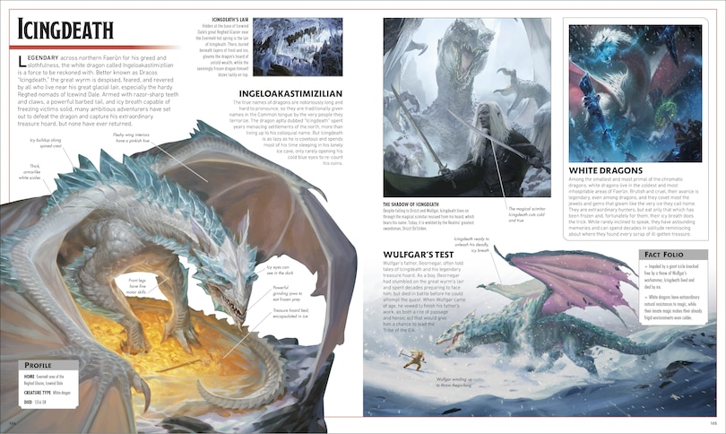 Aper&ccedil;u du contenu 3_Dungeons and Dragons The Legend of Drizzt Visual Dictionary