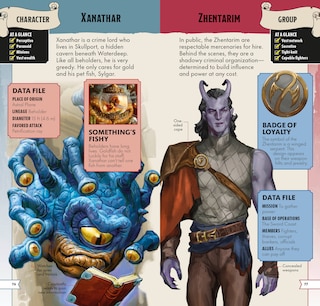Aper&ccedil;u du contenu_Dungeons & Dragons Pocket Expert