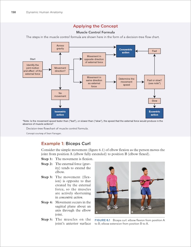 Sample content 2_Dynamic Human Anatomy
