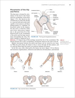 Sample content 3_Dynamic Human Anatomy