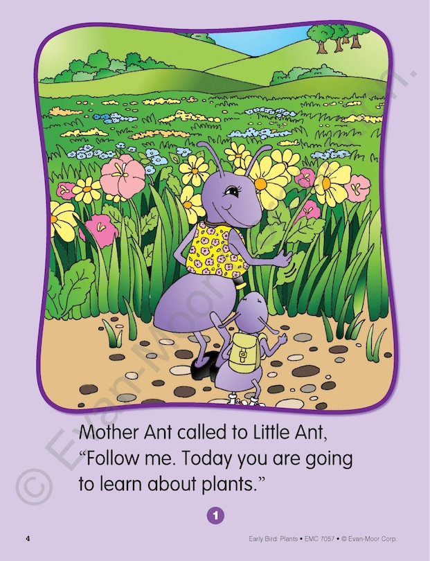 Sample content 3_Early Bird: Plants, Age 4 - 5 Workbook