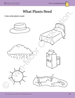 Sample content 4_Early Bird: Plants, Age 4 - 5 Workbook