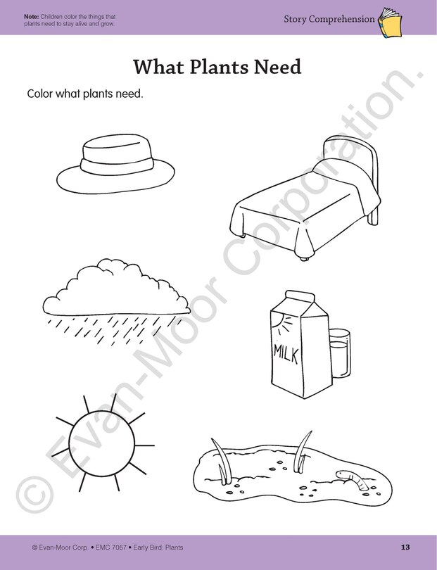 Sample content 4_Early Bird: Plants, Age 4 - 5 Workbook