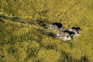 Sample content_Earth from Above (25th Anniversary Edition)