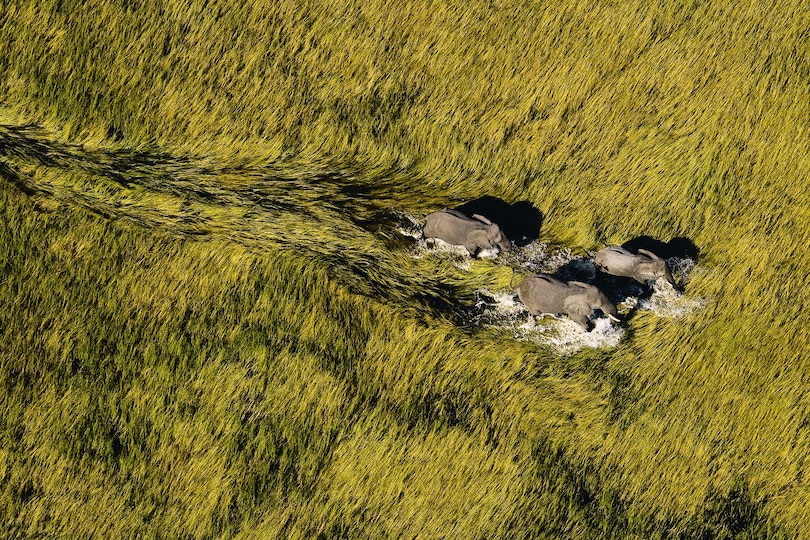 Sample content_Earth from Above (25th Anniversary Edition)