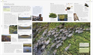 Aper&ccedil;u du contenu_Earth