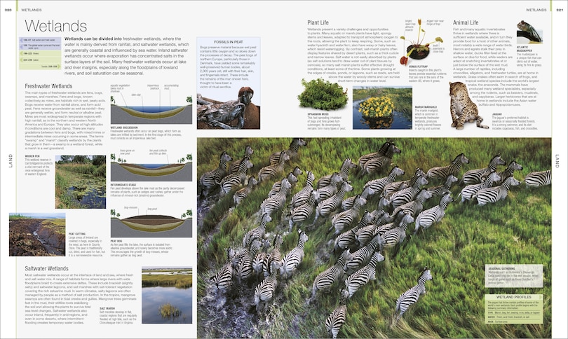 Aper&ccedil;u du contenu_Earth