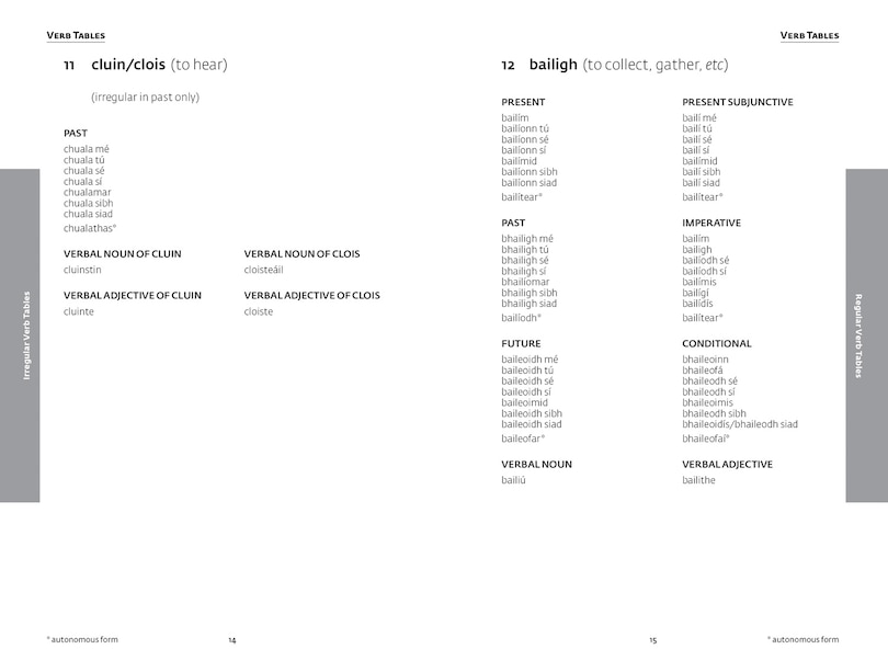 Aper&ccedil;u du contenu_Easy Learning Irish Grammar
