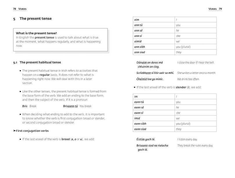 Aper&ccedil;u du contenu 2_Easy Learning Irish Grammar
