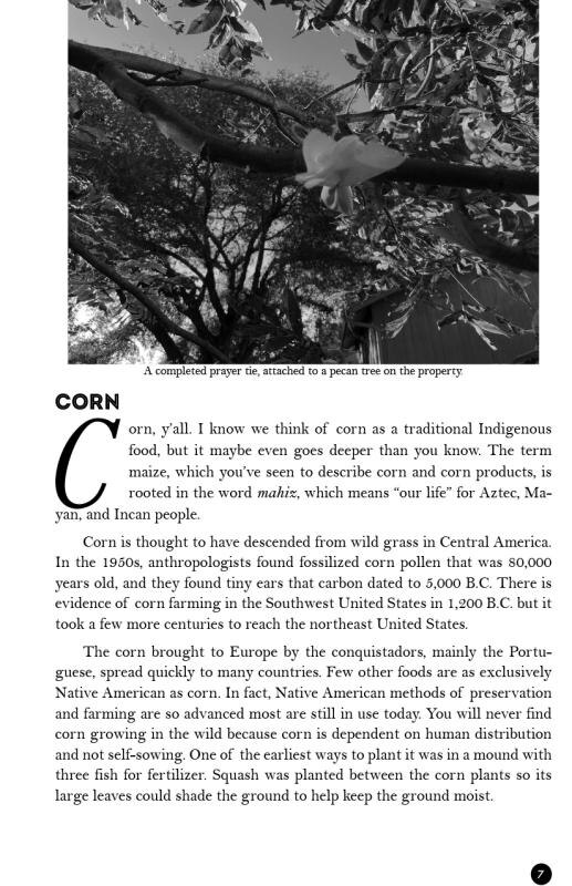 Aper&ccedil;u du contenu 4_Eat Native