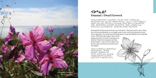 Sample content 2_Edible And Medicinal Arctic Plants