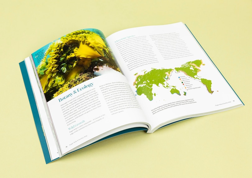 Sample content 2_Edible & Medicinal Seaweeds