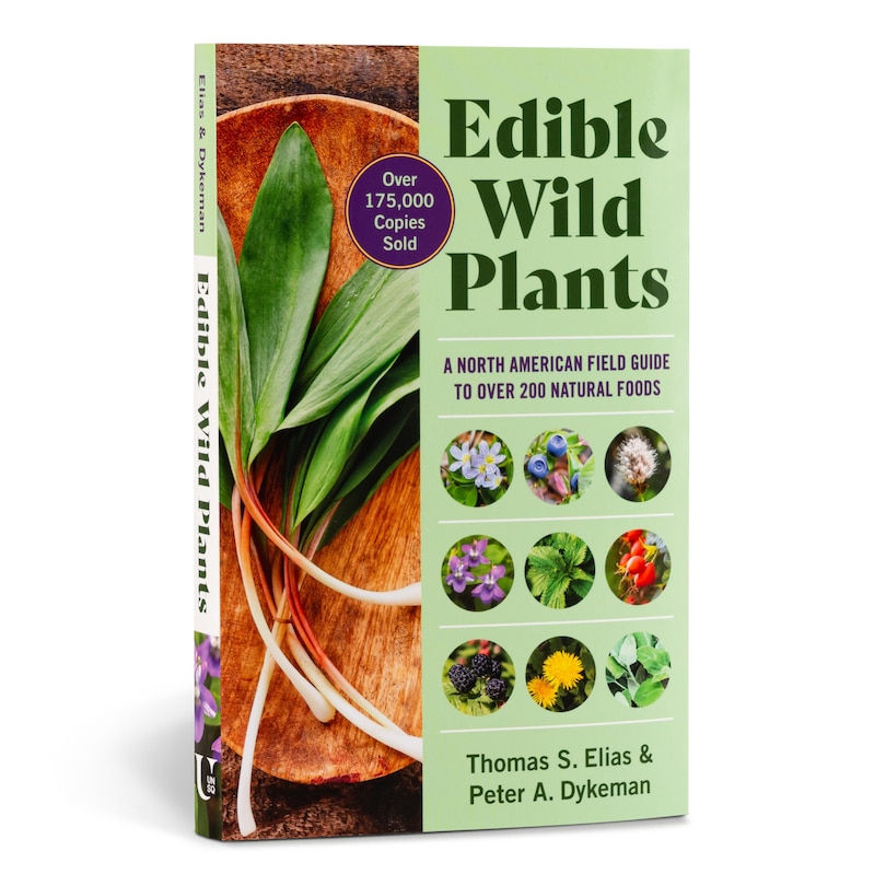 Sample content_Edible Wild Plants