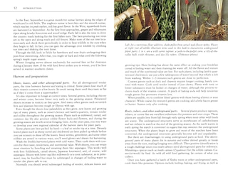 Sample content 4_Edible Wild Plants
