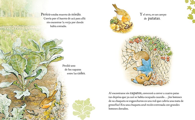 Aperçu du contenu 2_El cuento de Perico el Conejo (Ed. 120 aniversario) / The Tale of Peter Rabbit ( 120th Anniversary Edition)