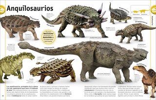 Sample content 3_El libro de los dinosaurios (The Dinosaur Book)