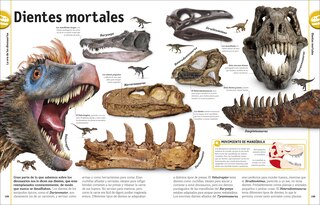 Sample content 4_El libro de los dinosaurios (The Dinosaur Book)