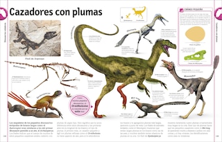 Sample content 5_El libro de los dinosaurios (The Dinosaur Book)