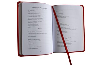 Sample content 2_El Santo Rosario: Libro de oraciones católicas (edición de regalo) / Holy Rosary: Book of Catholic Prayers (Gift Edition)