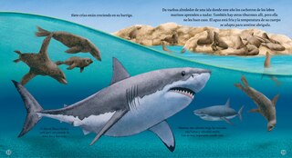 Sample content_El tibur&oacute;n blanco