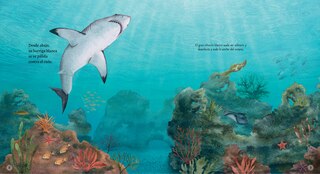 Sample content 3_El tibur&oacute;n blanco