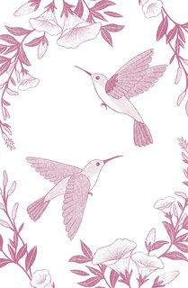Sample content_El viaje de los colibríes (Edición especial ilustrada 10° aniversario) / The Jou r ney of the Hummingbirds. Special Illustrated 10th Anniversary Edition