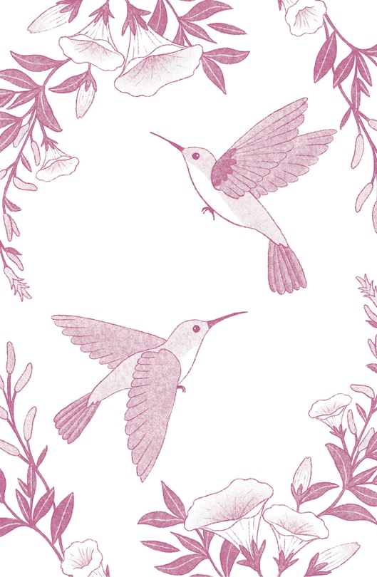 Sample content_El viaje de los colibríes (Edición especial ilustrada 10° aniversario) / The Jou r ney of the Hummingbirds. Special Illustrated 10th Anniversary Edition