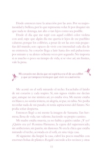 Sample content 2_El viaje de los colibríes (Edición especial ilustrada 10° aniversario) / The Jou r ney of the Hummingbirds. Special Illustrated 10th Anniversary Edition