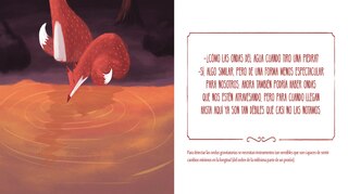 Sample content 5_El Zorro Curioso Y Las Estrellas: Una Historia Sobre La Luz Y La Gravedad / The Curious Fox And The Stars: A Story About Light And Gravity