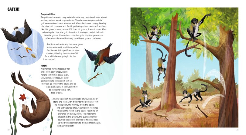 Aper&ccedil;u du contenu 2_Elephant Bowling and Other Animal Play