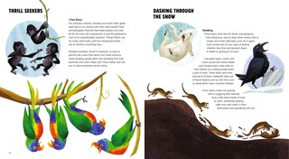 Aper&ccedil;u du contenu 3_Elephant Bowling and Other Animal Play