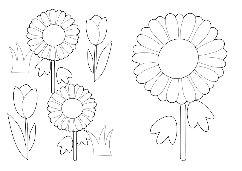 Sample content 2_Emma Memma Colouring Book