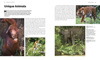 Sample content 3_Enchanting Malaysia