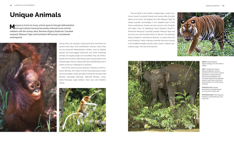 Sample content 3_Enchanting Malaysia