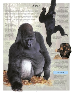 Sample content_Encyclopedia Of Animals