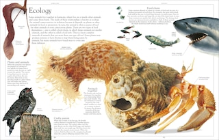 Sample content 2_Encyclopedia Of Animals