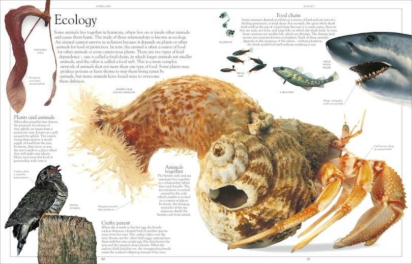 Sample content 2_Encyclopedia Of Animals