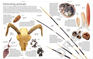 Sample content 4_Encyclopedia Of Animals