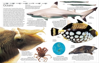 Sample content 5_Encyclopedia Of Animals