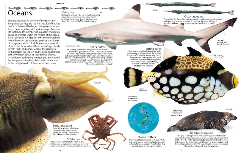 Sample content 5_Encyclopedia Of Animals