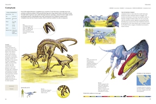 Sample content 2_Encyclopedia of Dinosaurs