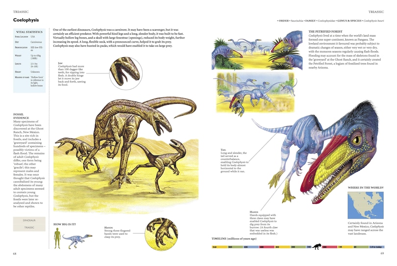 Sample content 2_Encyclopedia of Dinosaurs