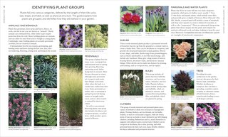 Sample content 2_Encyclopedia of Garden Plants for Every Location