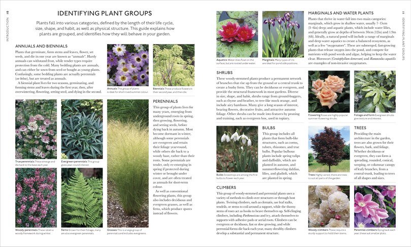 Sample content 2_Encyclopedia of Garden Plants for Every Location