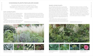 Sample content 3_Encyclopedia of Garden Plants for Every Location