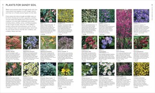 Sample content 4_Encyclopedia of Garden Plants for Every Location