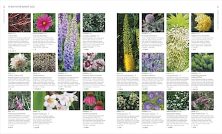 Sample content 5_Encyclopedia of Garden Plants for Every Location
