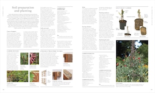 Sample content 3_Encyclopedia Of Gardening